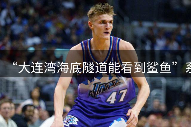 “大连湾海底隧道能看到鲨鱼”系谣言（2026·08·04）